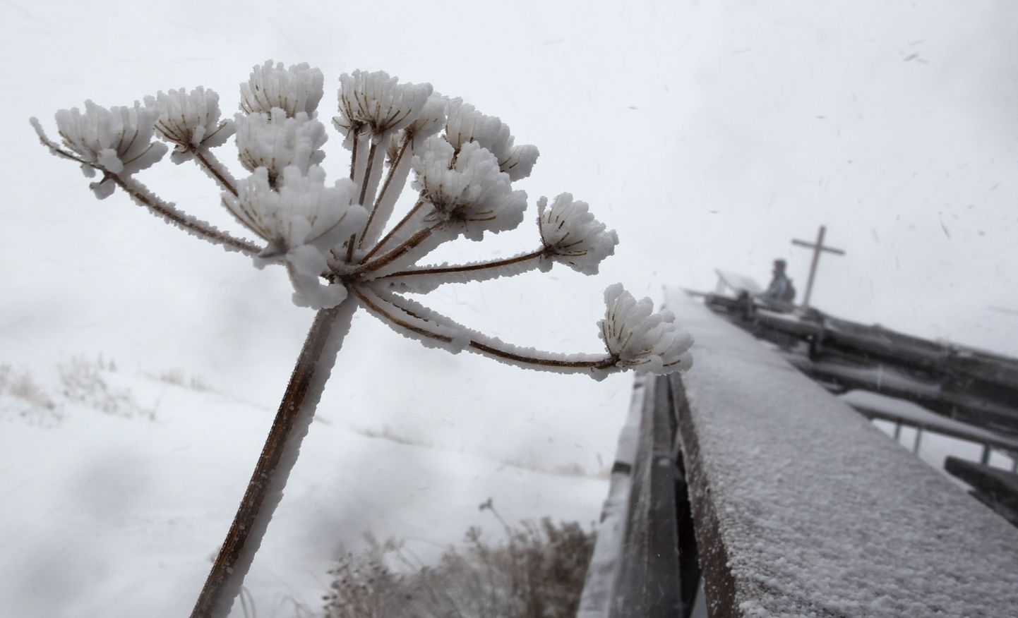 Kesk-Euroopasse lubatakse nädalavahetuseks lund