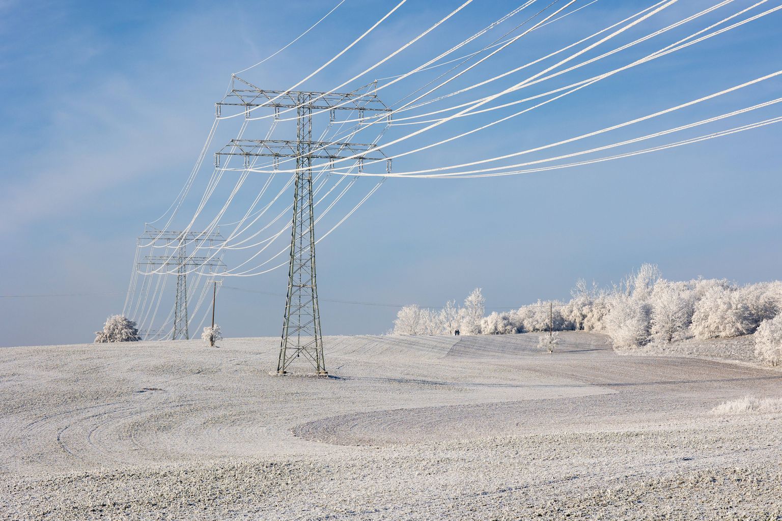 Talvised elektriliinid.