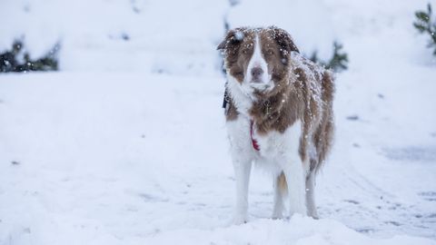 ����: rus.postimees.ee