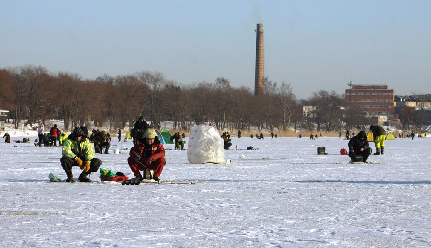 Jääfestivali esimesel päeval selgitatakse välja Pärnu meister kalapüügis.