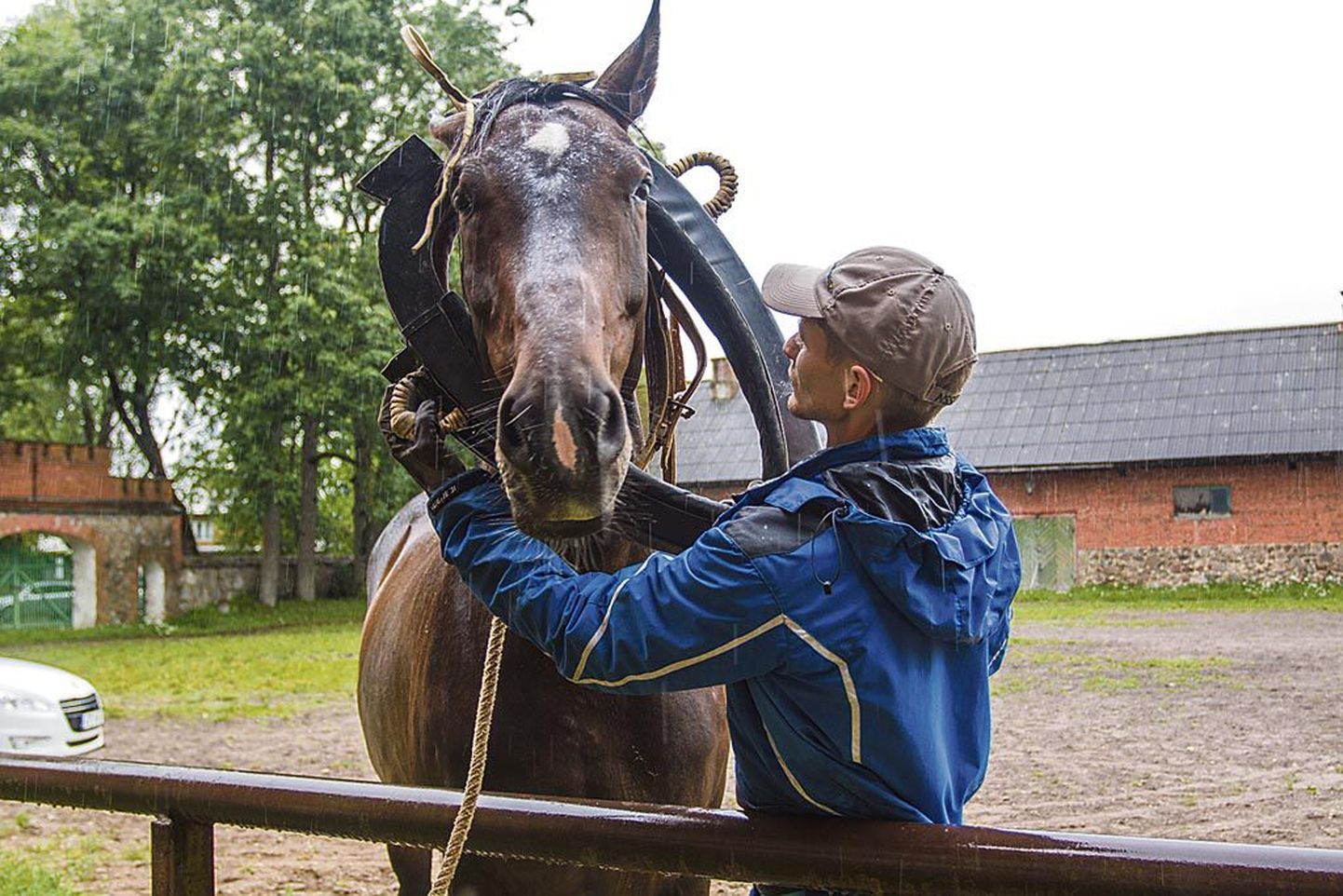 Hobusekasvatuses tuntakse puudust nii hobustest kui nendega ümber käia oskavatest inimestest.