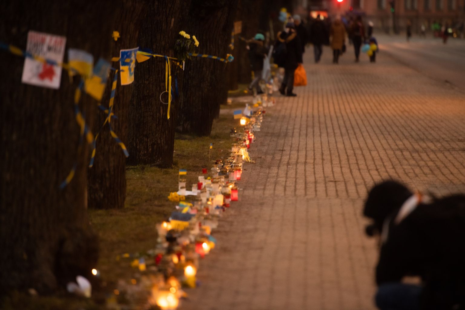 Protests pie Krievijas vēstniecības: 7. diena