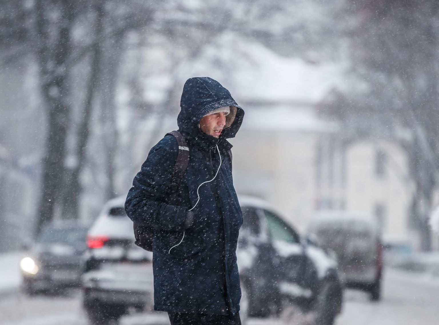 Lumesadu Tallinna südalinnas