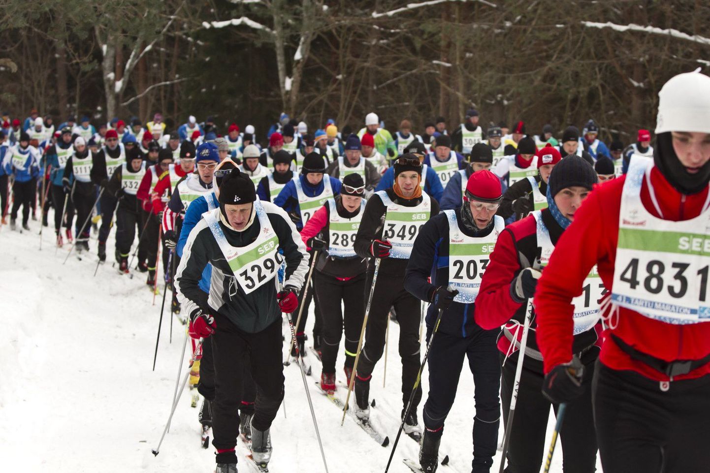 Тартуский лыжный марафон.