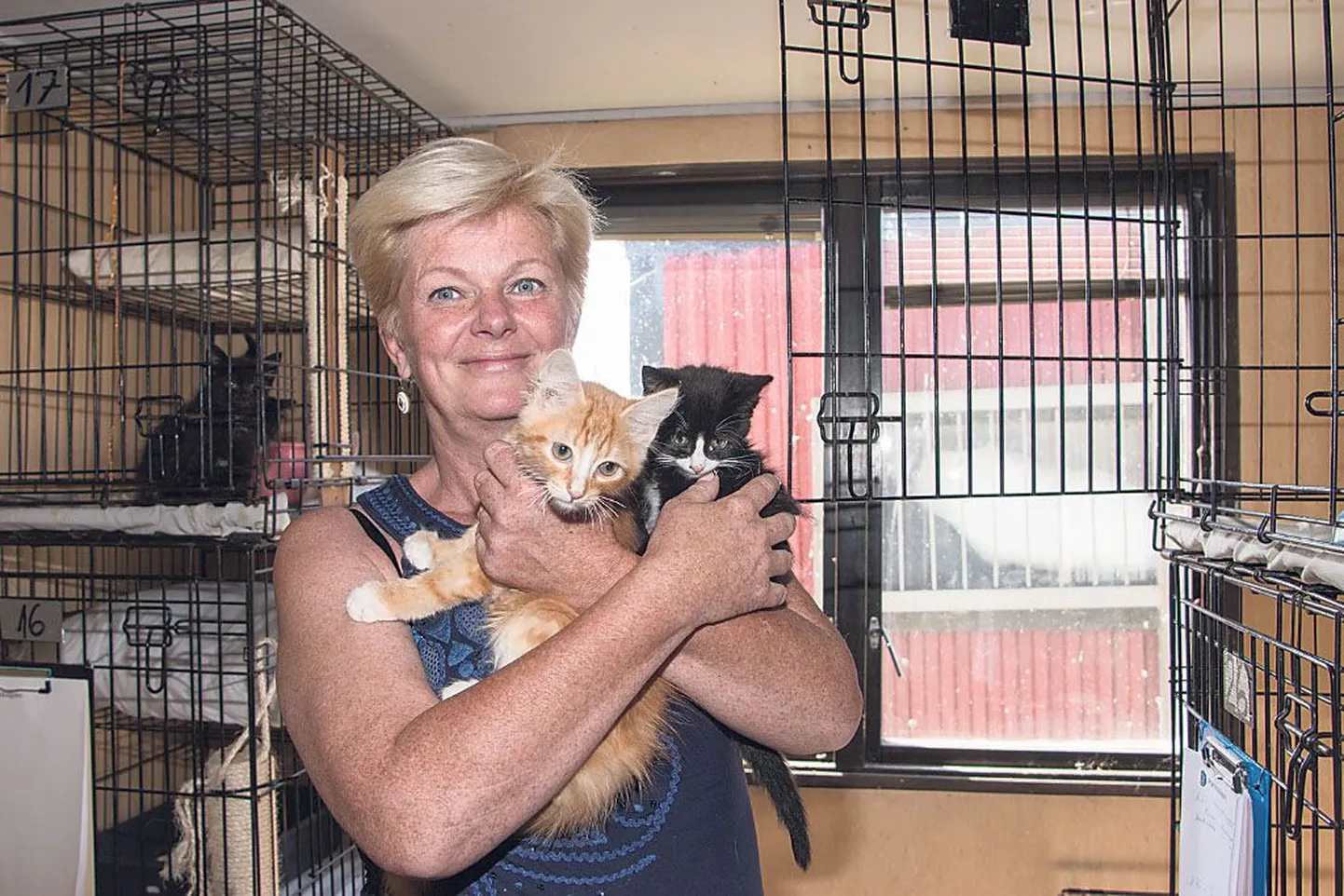 Varjupaiga juhataja Mari Hagi on pool aastat hoolitsenud Pärnus abi vajavate loomade eest.