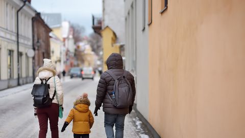 �����: ������ �������� ������������ �� ������ ���������