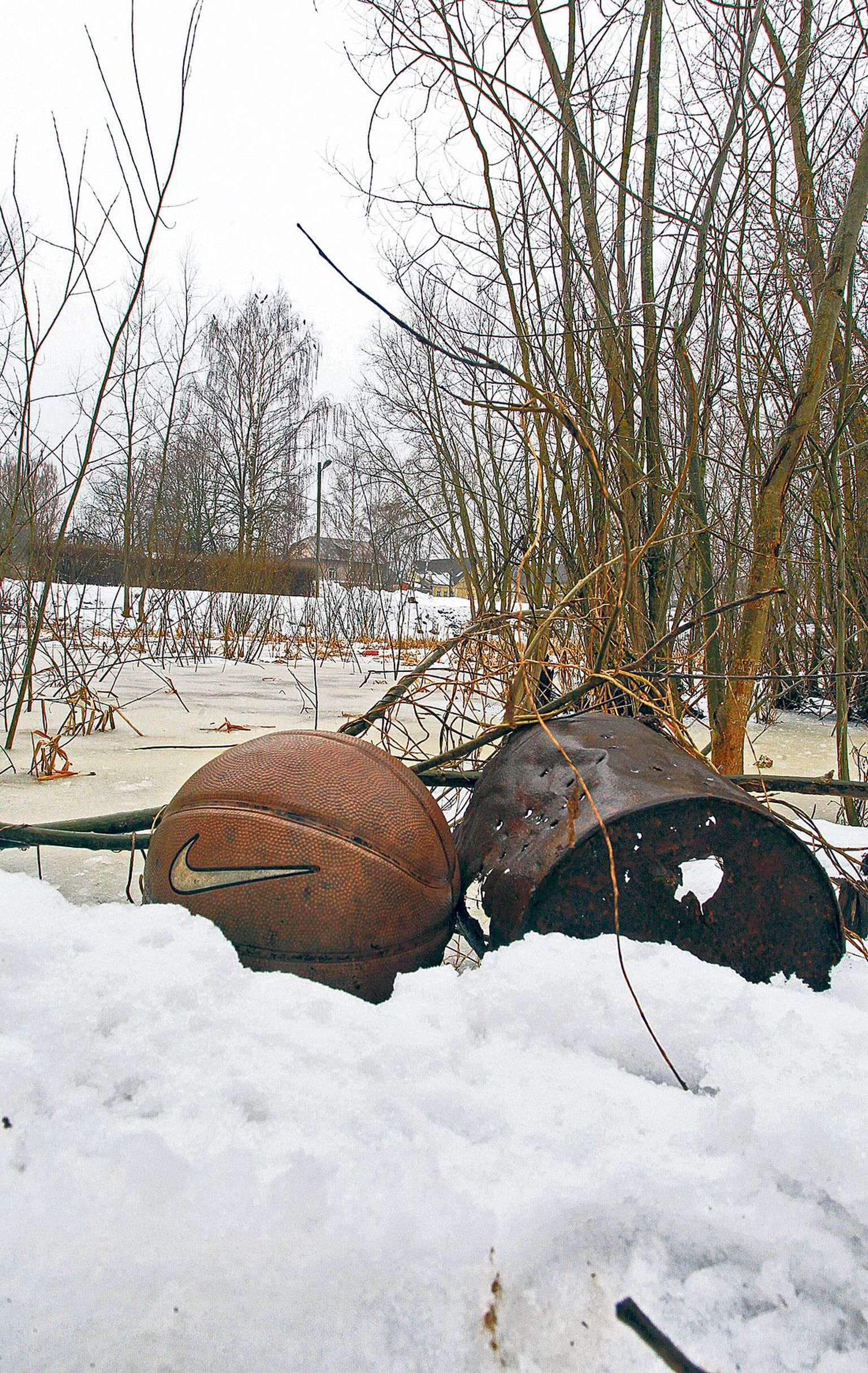 Kui hange õnnestub, saab see võssa kasvanud Peetri turu tiik korda aasta lõpuks.