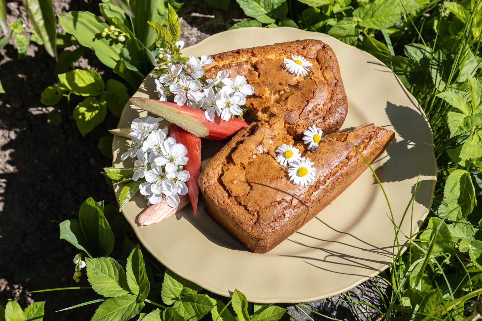 Hea, kui te rabarberikeeksiga kohe ei maiusta. See muutub päeva-paariga veelgi mahlasemaks.