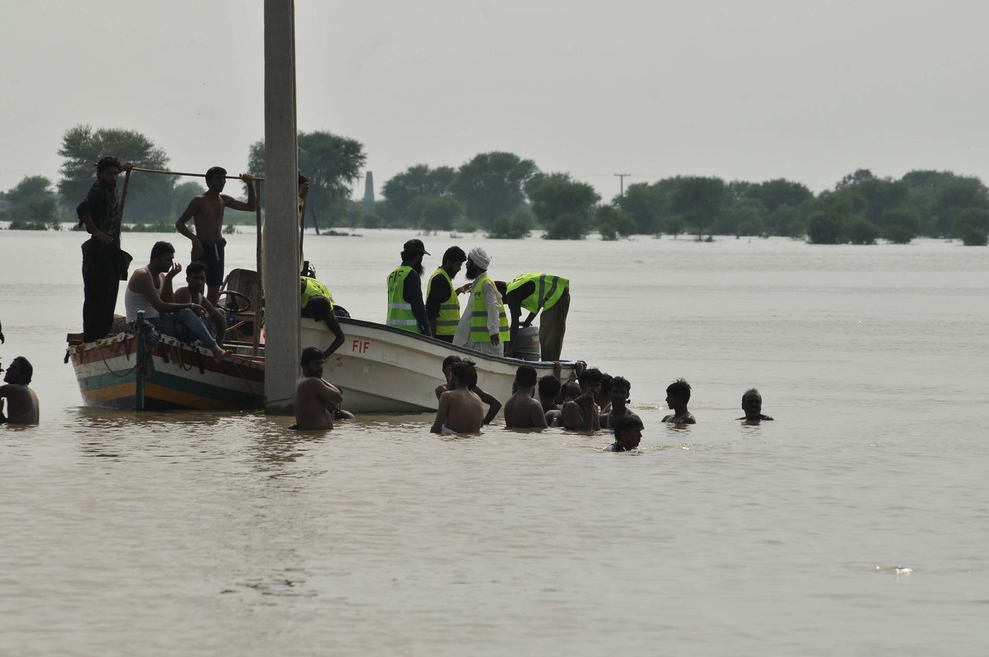 Pakistani tulvaveed