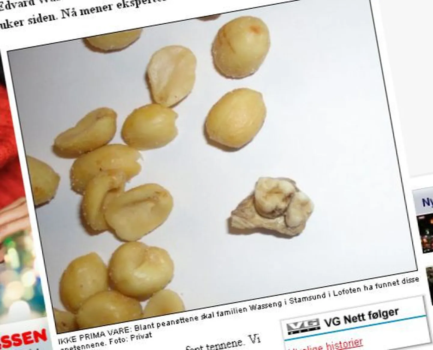 Fragment ajalehe Verdens Gang internetiväljaandest. Pildil pähklikotist leitud hammastega lõualuutükk.