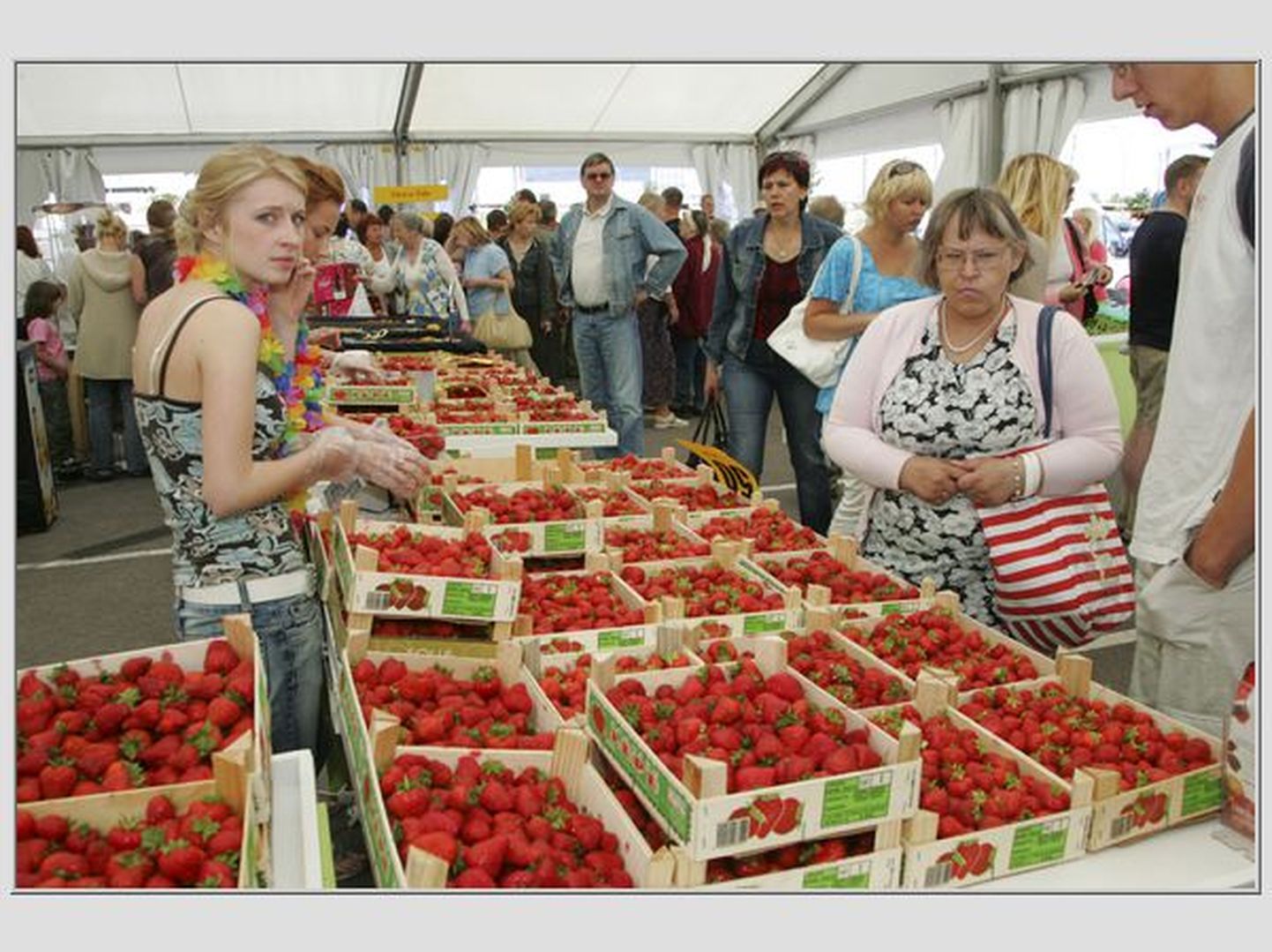 Mullune maasikafestival Ülemiste keskuse parklas.