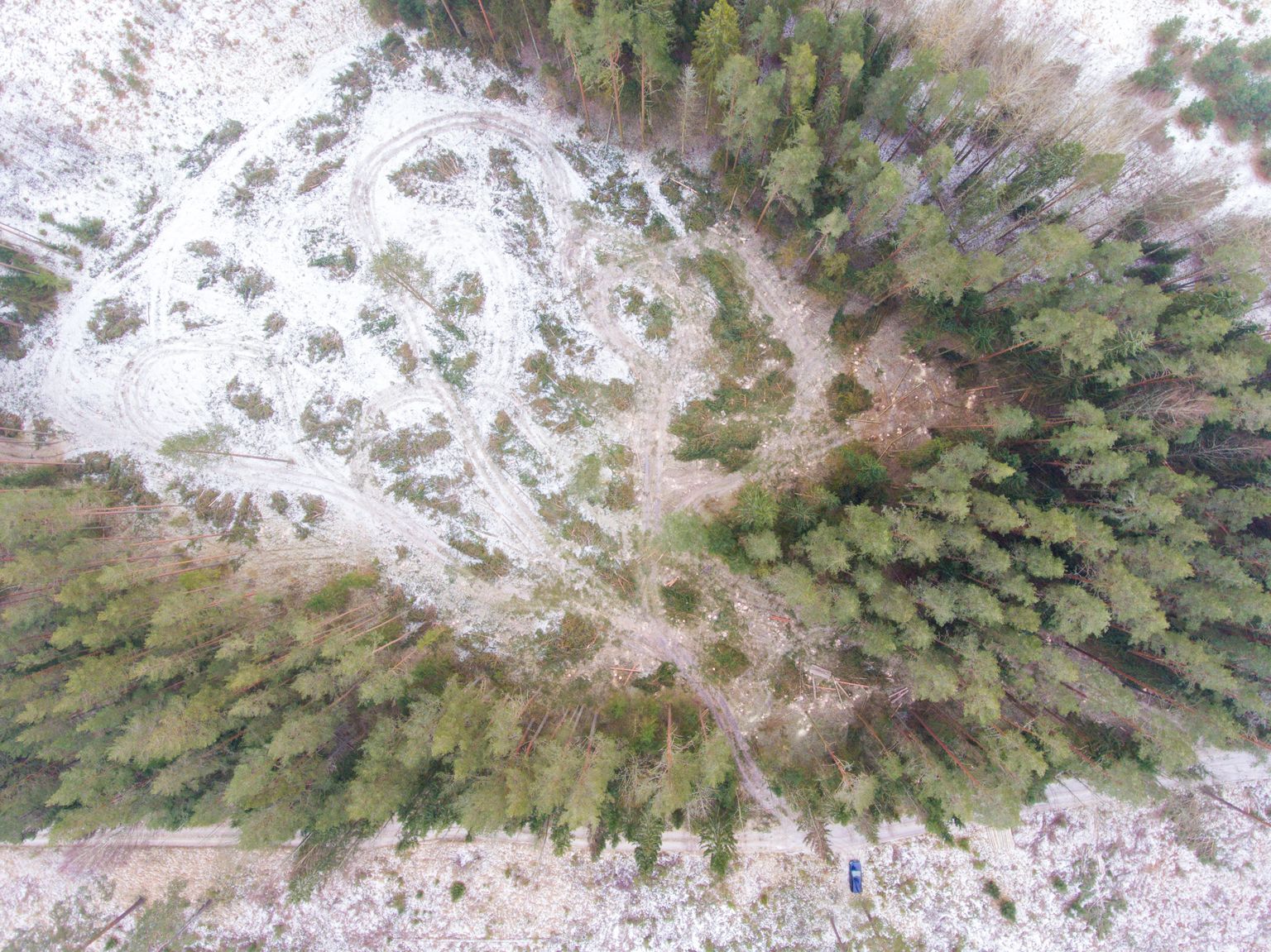 Foto: Arvo Meeks / Lõuna-Eesti Postimees