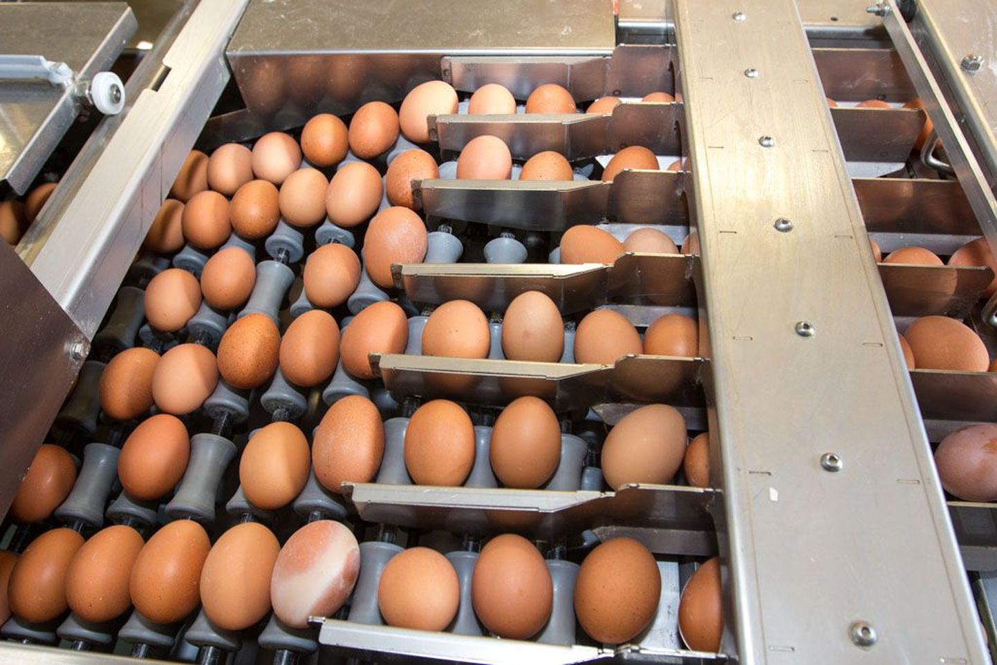 Hinnatõus on tabanud pea kõiki toiduaineid, kõige enam on kallinenud kanamunad.