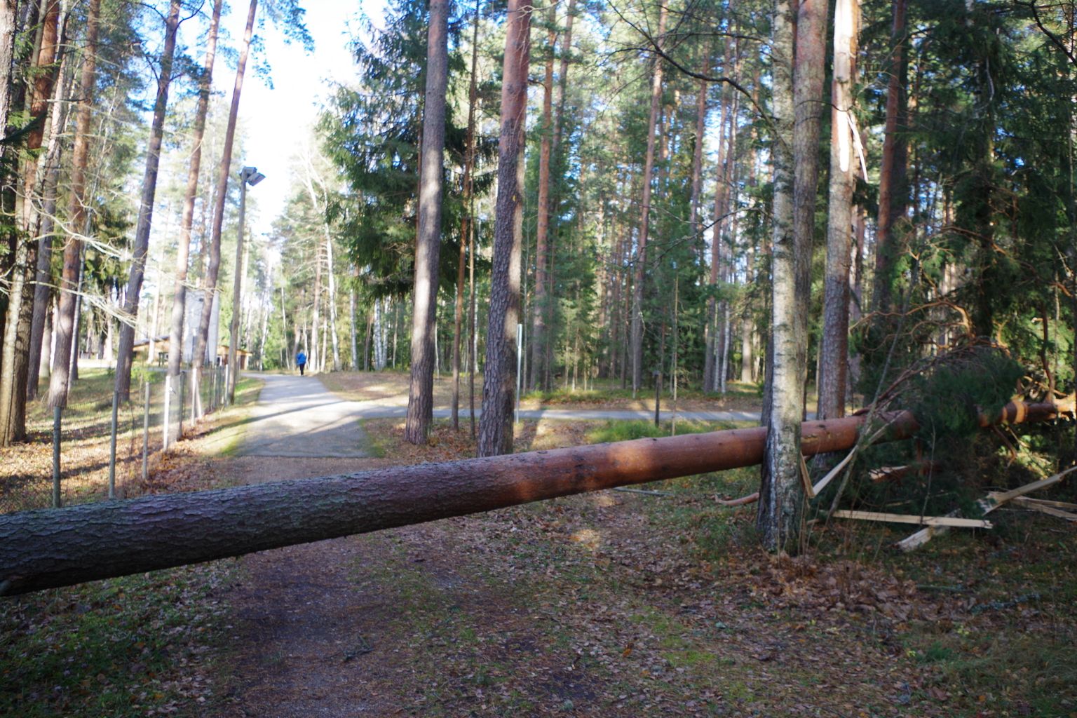 Oktoobritorm Võrumaal.