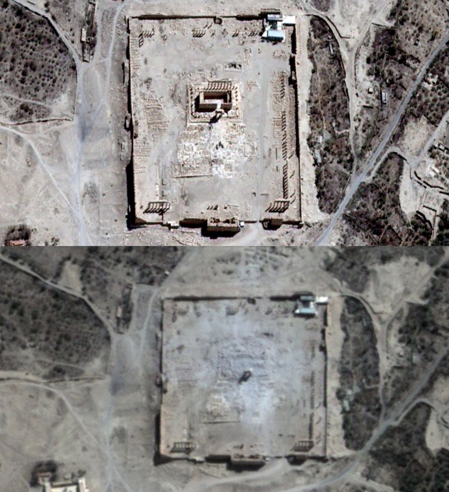 ÜRO UNITAR-UNOSAT satelliidi fotod Palmyra Bali templist 27.augustil (ülal) ja 30.augustil.