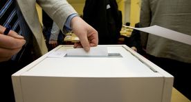 Пальтс призвал полностью перейти на электронное голосование