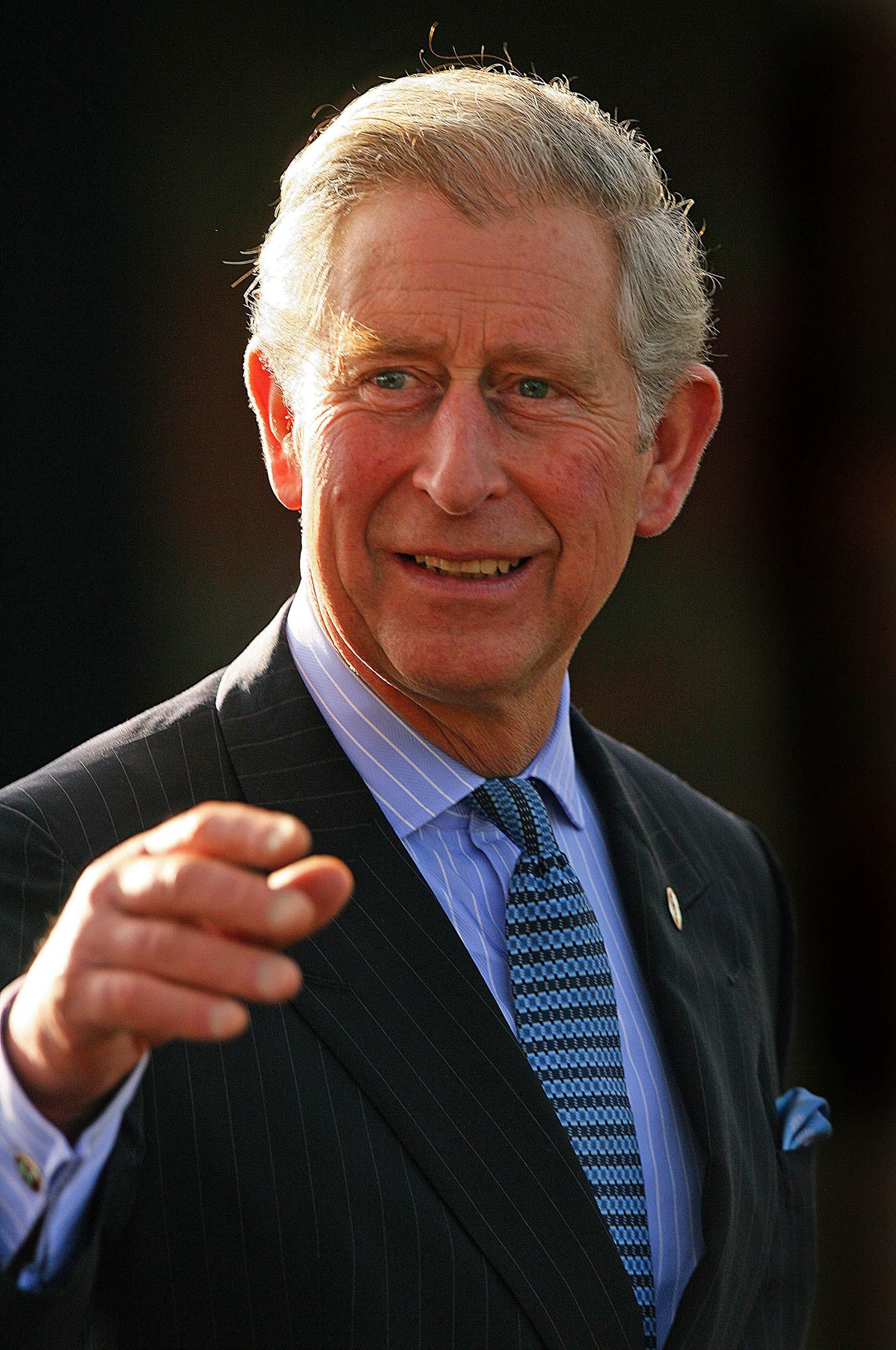Walesi prints Charles