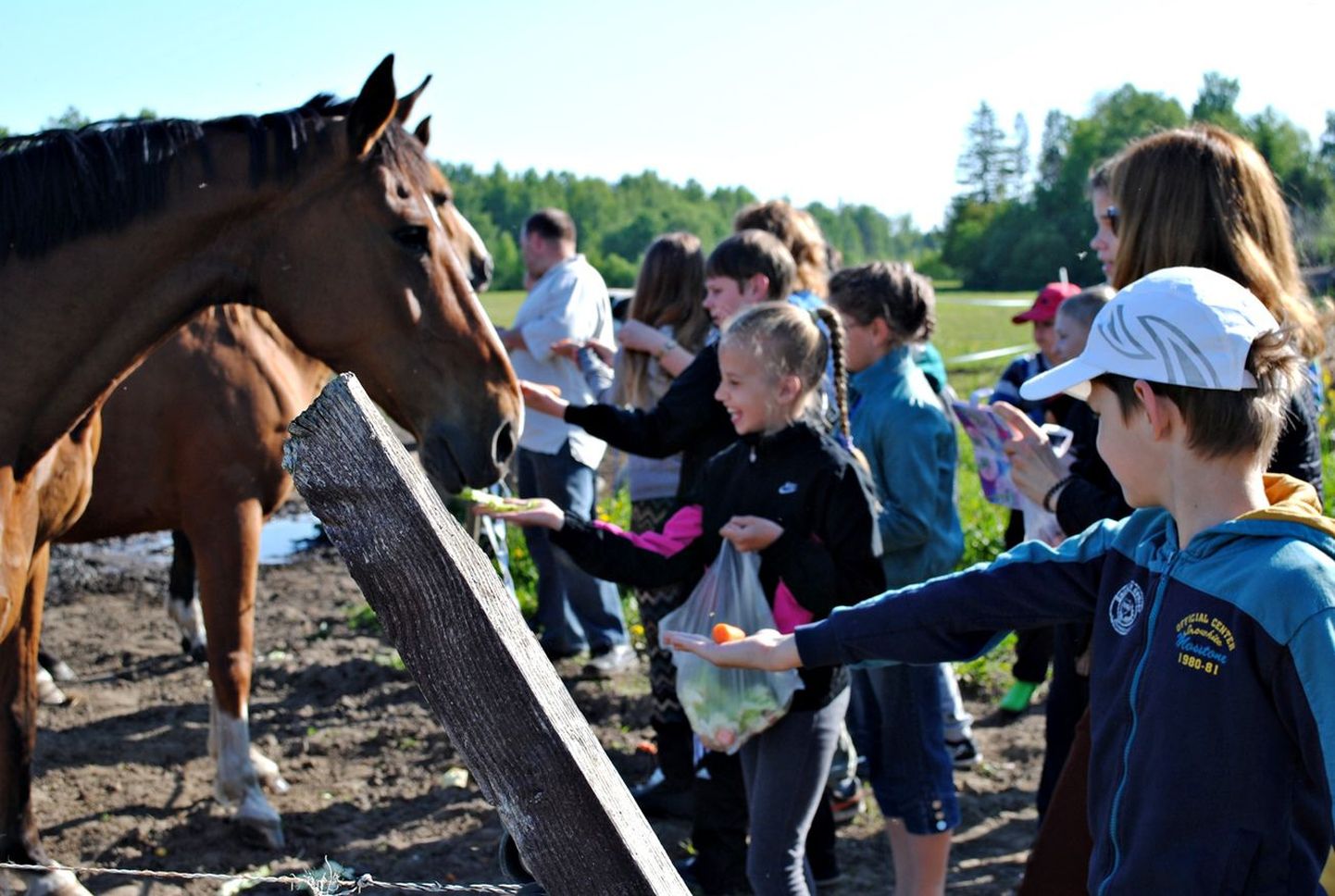 Tegelemine hobustega pakkus Tammsaare kooli õpilastele palju emotsionaalseid hetki.