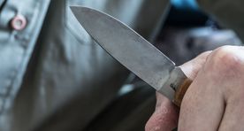 Шокирующая жестокость: мужчина зарезал пса, который посмел спариваться с его чистокровным лабрадором