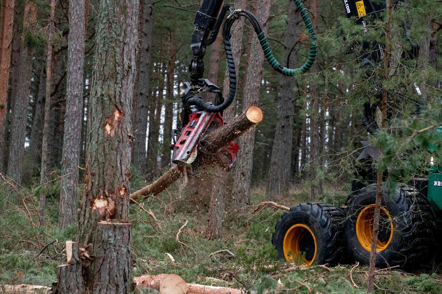Soome tahab aastaks 2035 saada kliimaneutraalseks, aga tundub, et lõikas endale harvesteriga jalga.