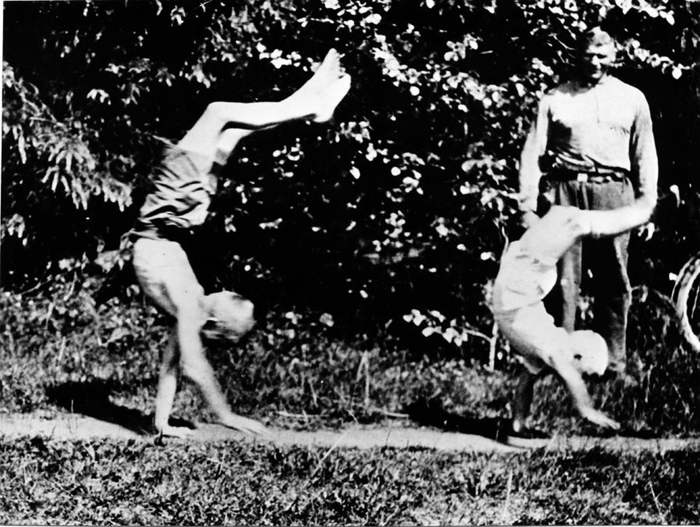 1925. aastast pärineval ülesvõttel jälgib Martin Klein, kuidas tema pojad maadlustrennis kätelkõndi harjutavad.