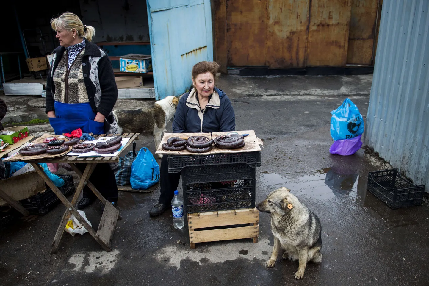 Donetski naised isetehtud vorsti müümas.