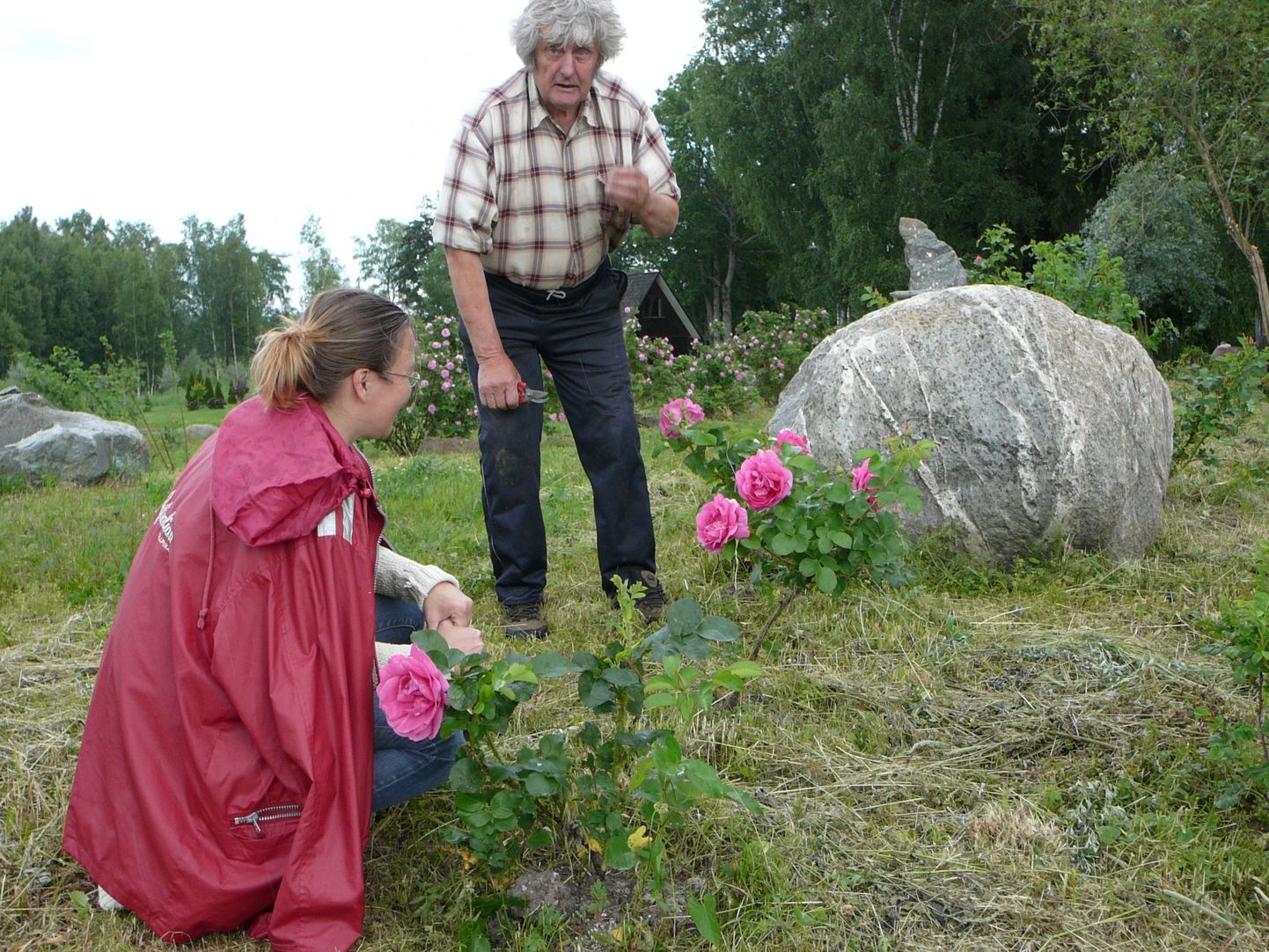 Juhan Juhani tutvustab roosi «Lydia Freimane», mis on saanud nime Läti kunagise kuulsa näitlejann järgi.