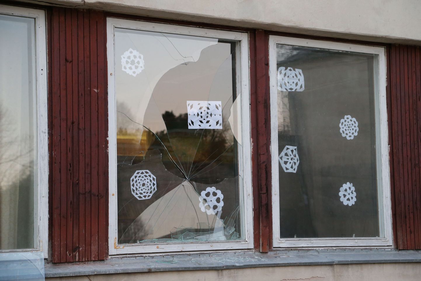 Kaagvere erikooli lõhutud aknad. Foto möödunud aasta lõpust, kui kaks tüdrukut peksid puruks koolimaja aknad ning hakkasid mööblit välja viskama.