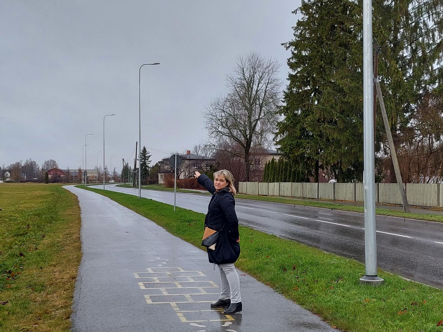 Põltsamaa valla arendusjuht Aive Tamm ütles, et lagedale Pajusi maanteele on plaan istutada järgmisel aastal laternapostide kõrvale puud, et seal taastuks allee.