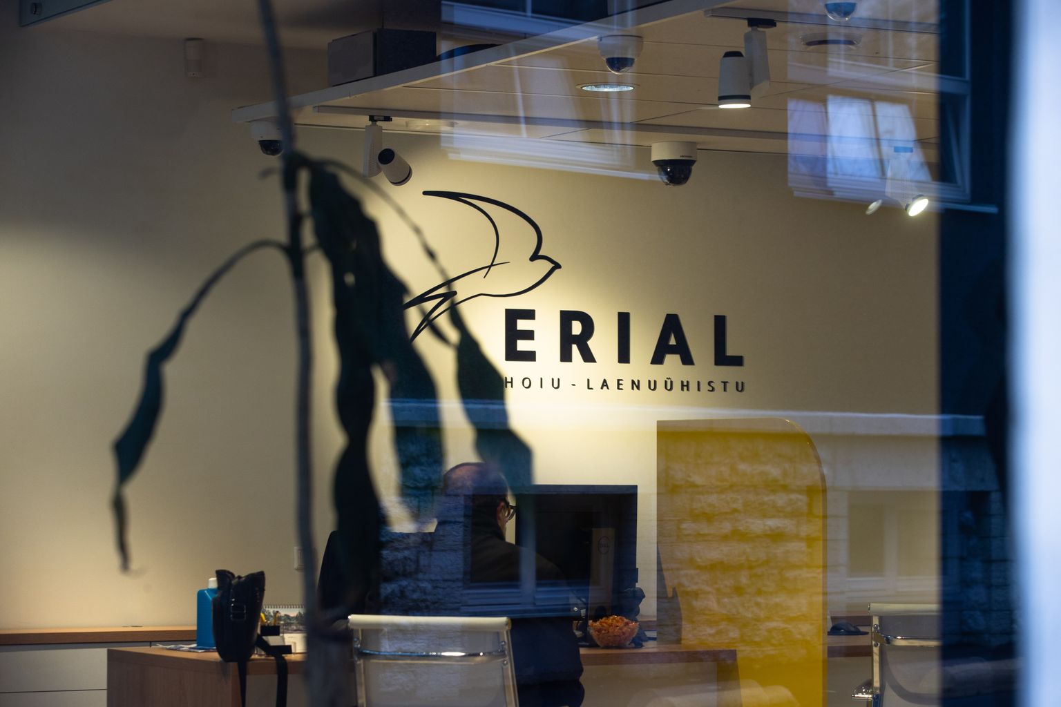 ERIAL