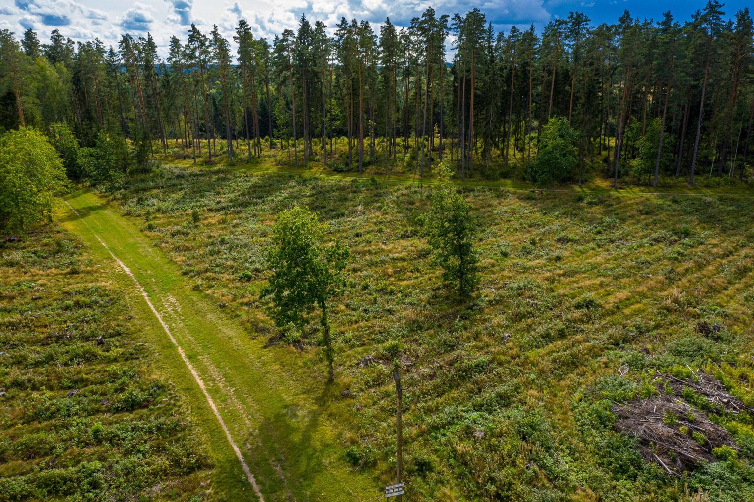 Фото иллюстративное.