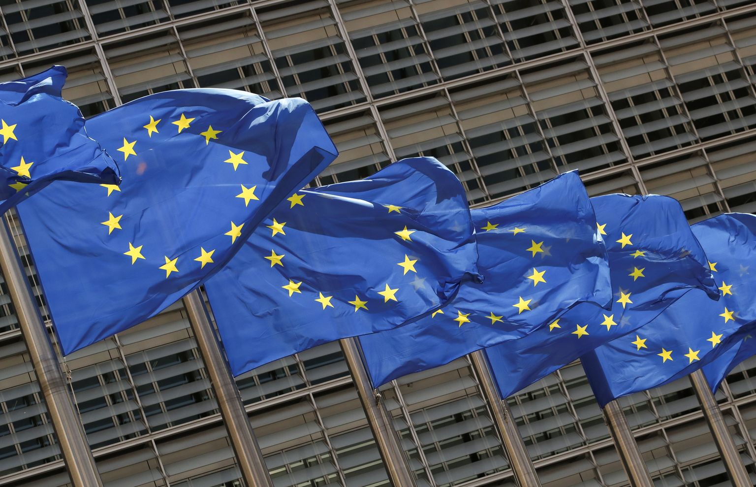 Euroopa liidu lipud.