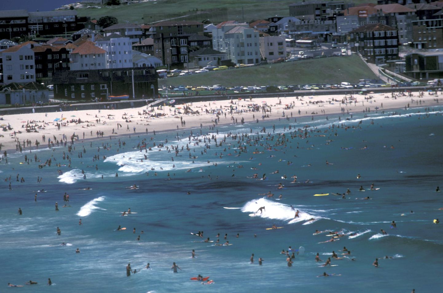 Merepinna tõus ohustab Austraalia kodusid. Fotol Sydney kuulus Bondi Beach