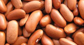 Определен самый доступный продукт для здоровья и долголетия