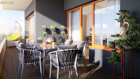  ���� ����������� ������� ��������������� ����� �������� 