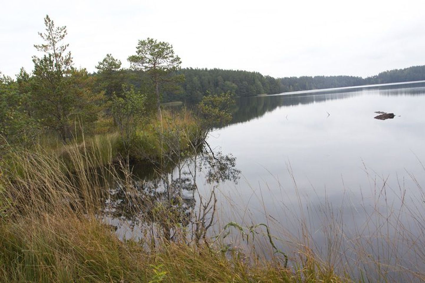 2005. aastal Eesti kauneimaks külaks valitud kahe maakonna piiril asuv Uljaste on ennekõike tuntud samanimelise järve järgi.