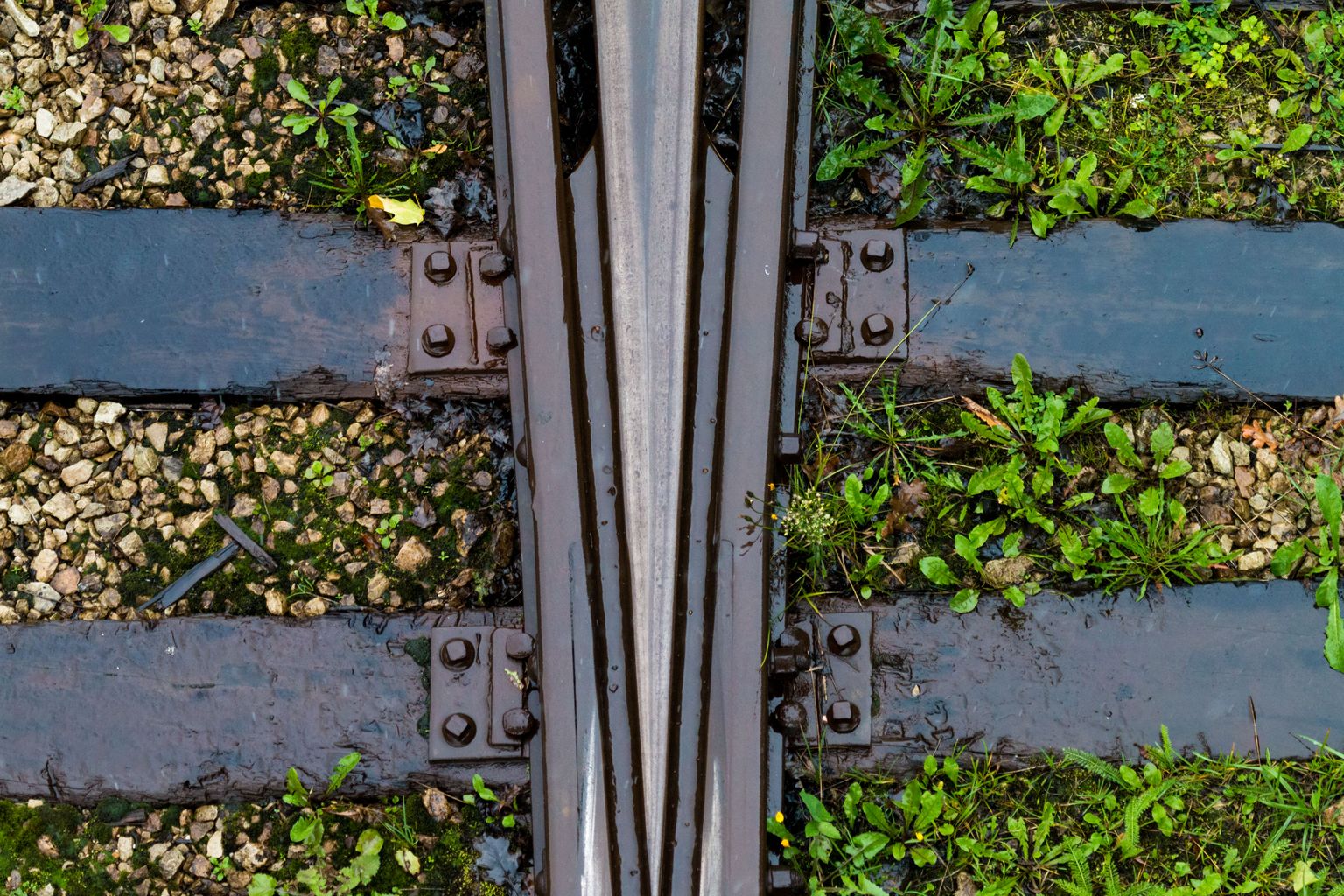 Raudtee rööpad. Foto on illustreeriv.