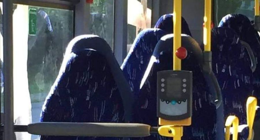 [Pilt: 6951199t1h8d3e.jpg]