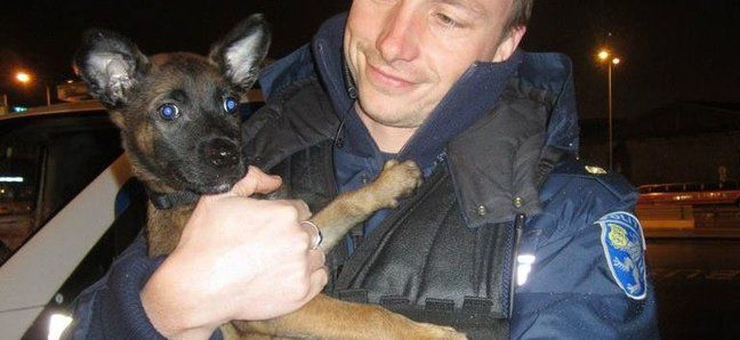 Полицейский пес Ульяс и его хозяин.