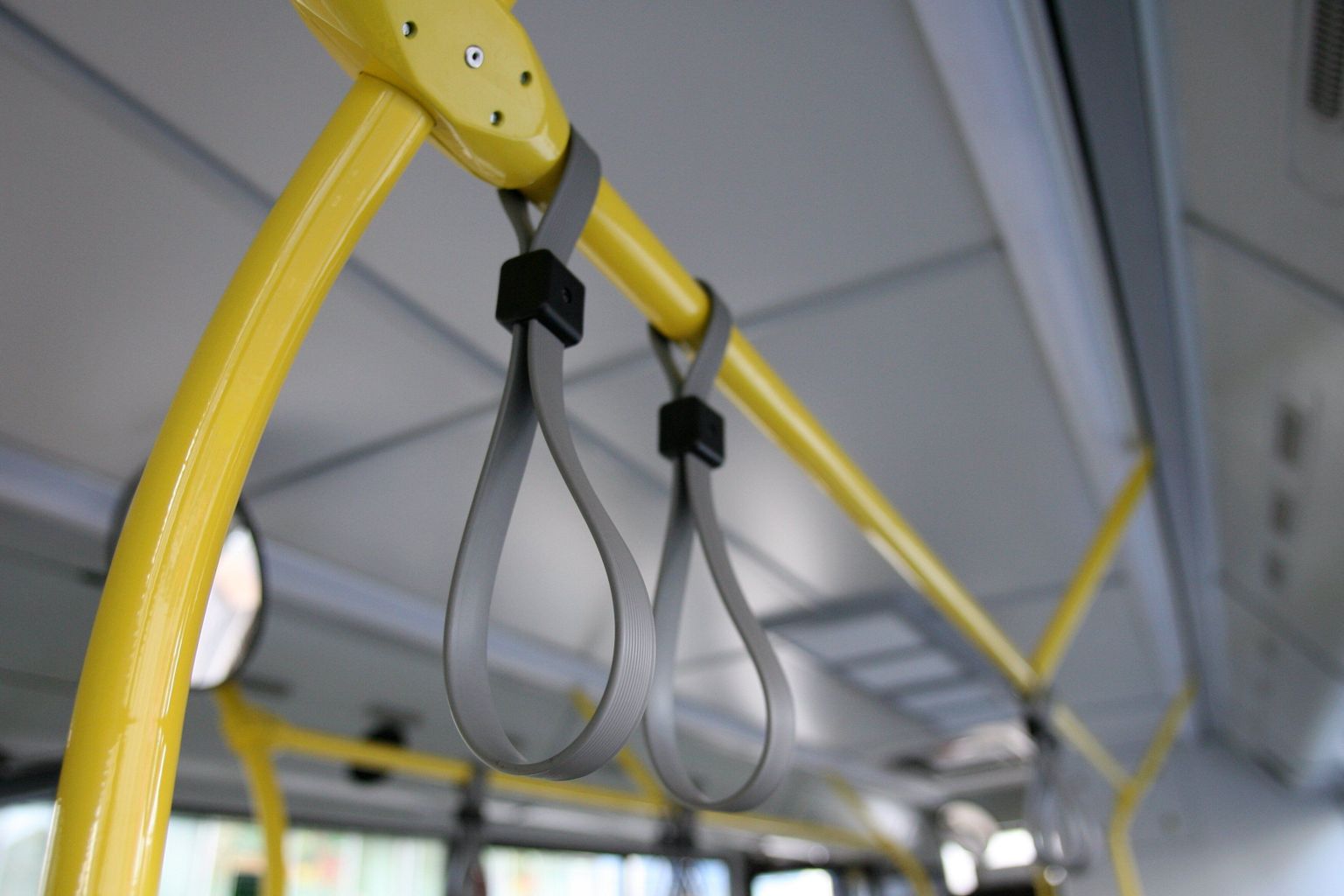 Buss