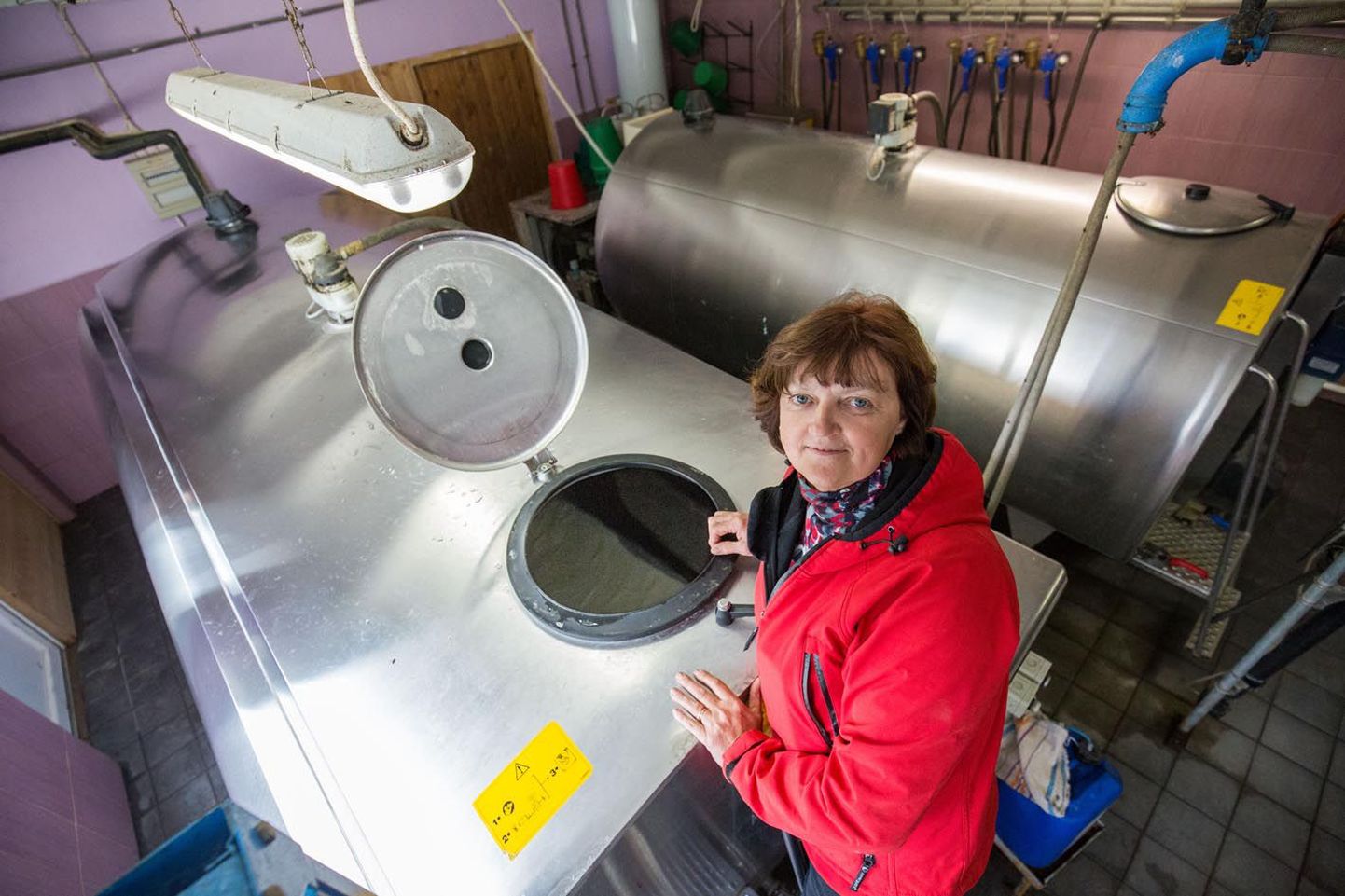 Koigi vallas Päinurmes tegutseva piimatootja,  AS Veskimäe juht Rita Sardis seisab tõsiasja ees, et praegu on lüpsilehmi vaid 130 ja seetõttu viimastel aastatel kahest piimapaagistki kasutuses olnud vaid üks.