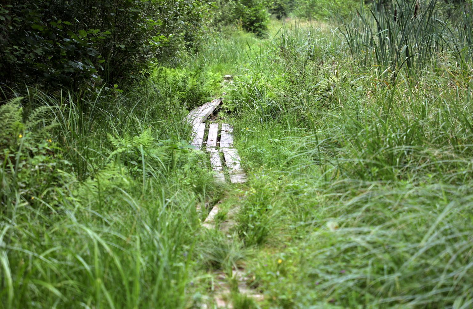 Граница.
