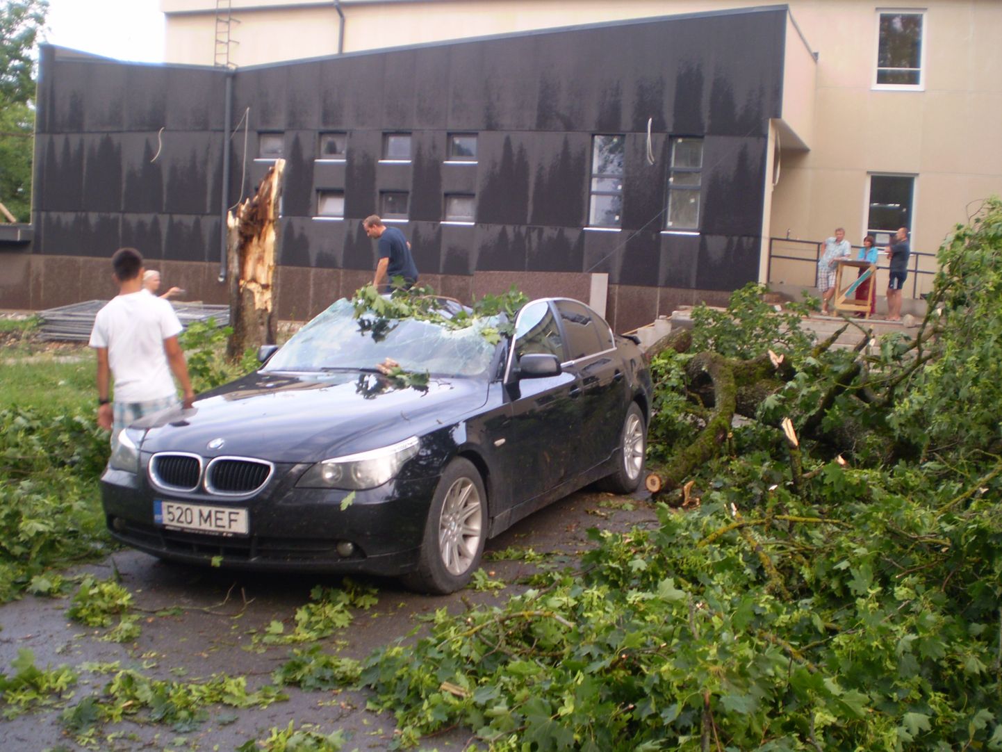 Tormi käes langenud puu tabas Sõmerul noortekeskuse ees sõiduautot.
