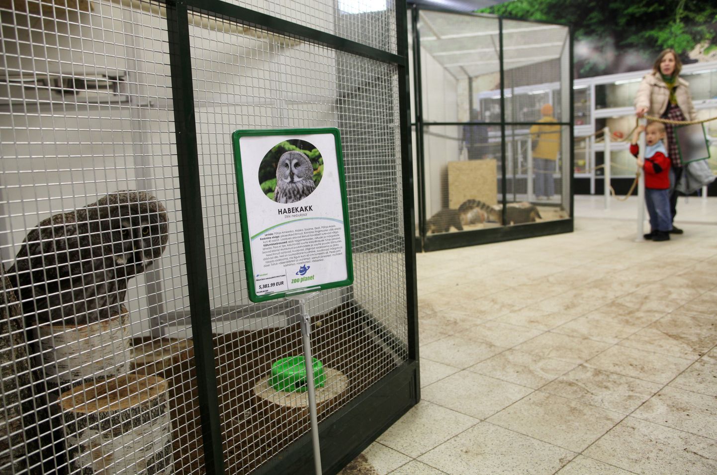 Loomakaitse selts muretseb loomade heaolu pärast zookauplustes. Pildil Tartu Lõunaksekuses tegutsev Zoo Planeti lemmikloomakauplus.