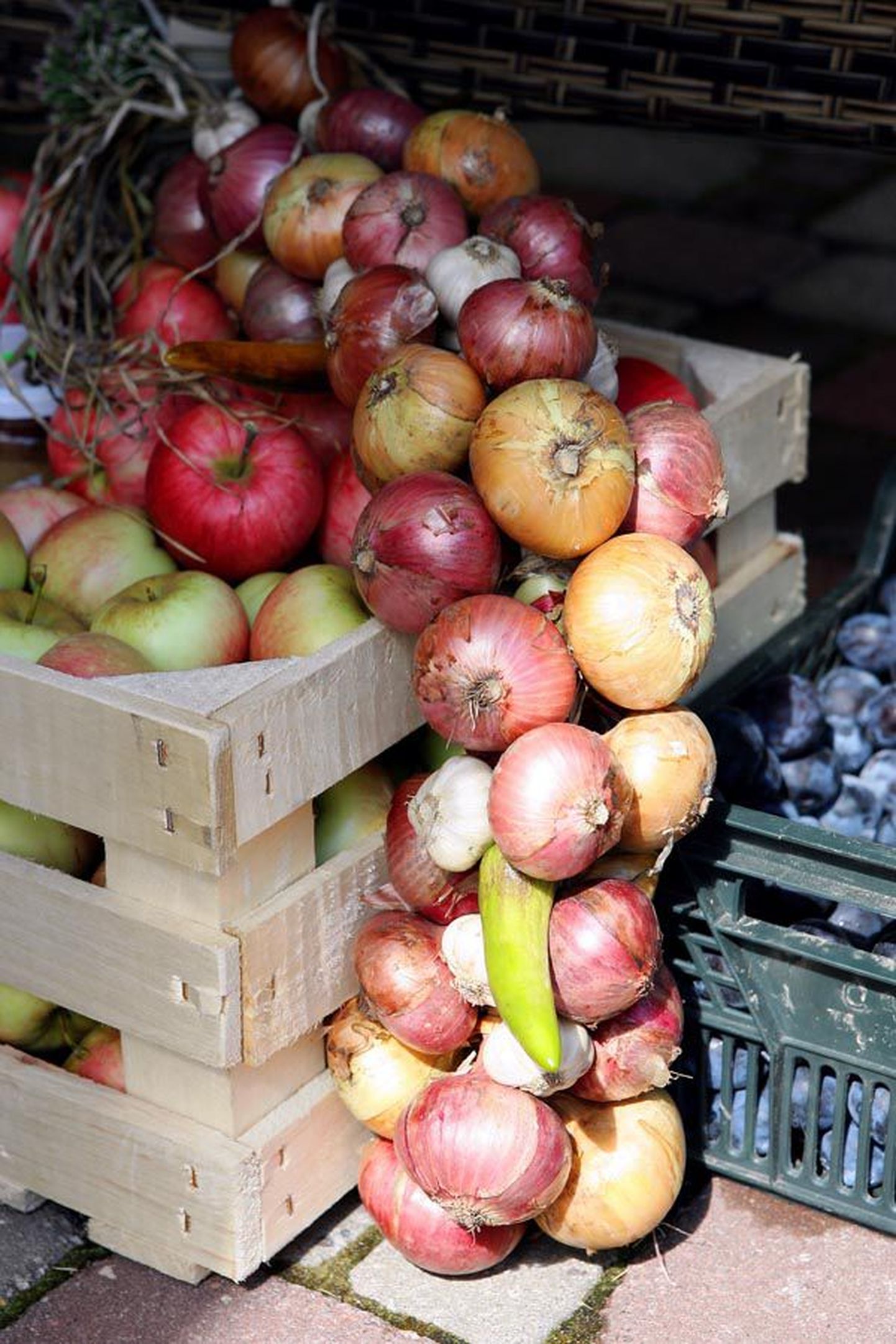 Toiduvõrgustikuga liitunud tootjate ja tarbijate vahel sõlmitakse lepingud, kus sätestatakse, kas näiteks sibulaid ja õunu tellinud inimene läheb neile järele kord aastas või käib ta kaupa otsimas tihedamalt.