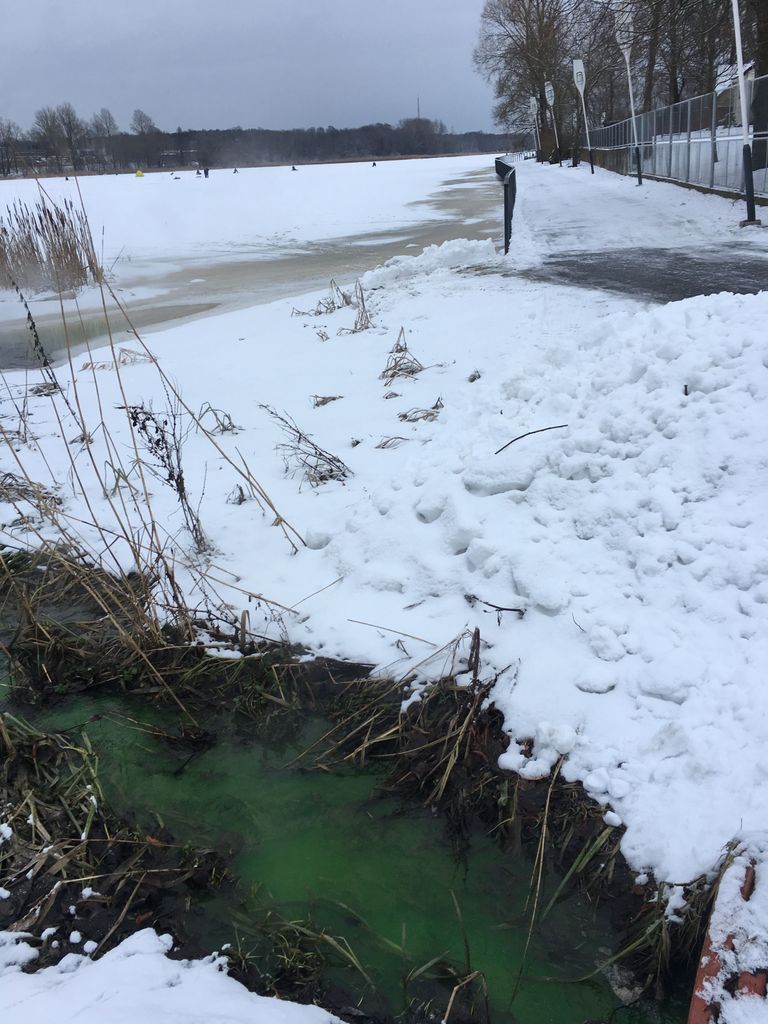 Pärnu Postimehe lugeja sattus täna Pärnus Jüri Jaansoni terviserajal kummalisele vaatepildile, kui jõkke suubuvast äravoolutorust nirises veekogusse rohekat vett.
