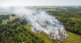Фото: в Ляэне-Вирумаа горит лес