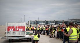 Fotod: Berliin tervitas Hiinast saabunud hiidpandasid