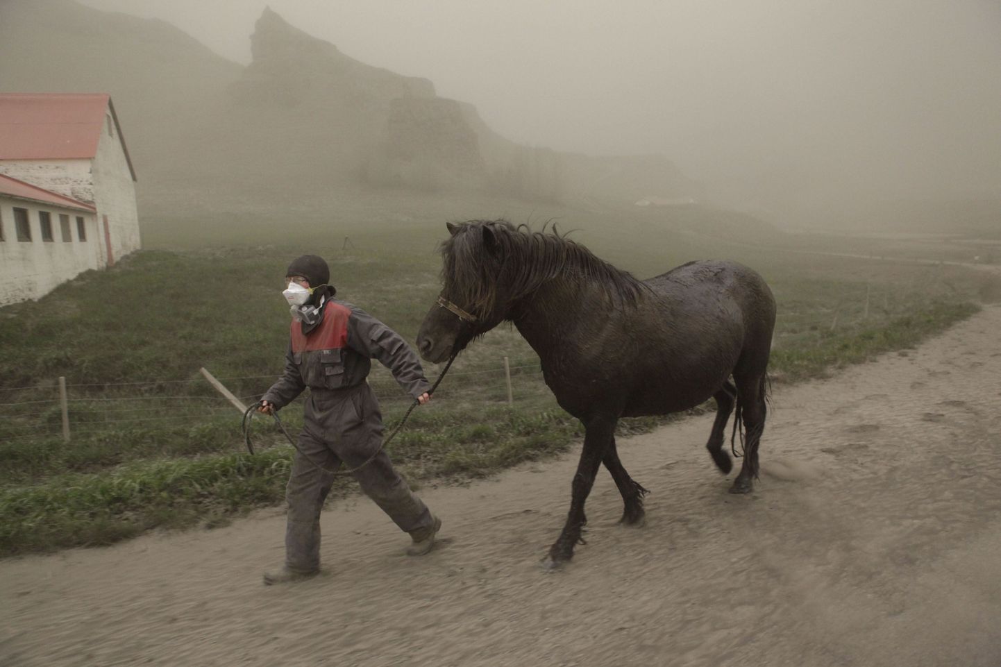 Talupidaja Anna Hardadottir juhib oma hobust läbi suitsu ja tuha.