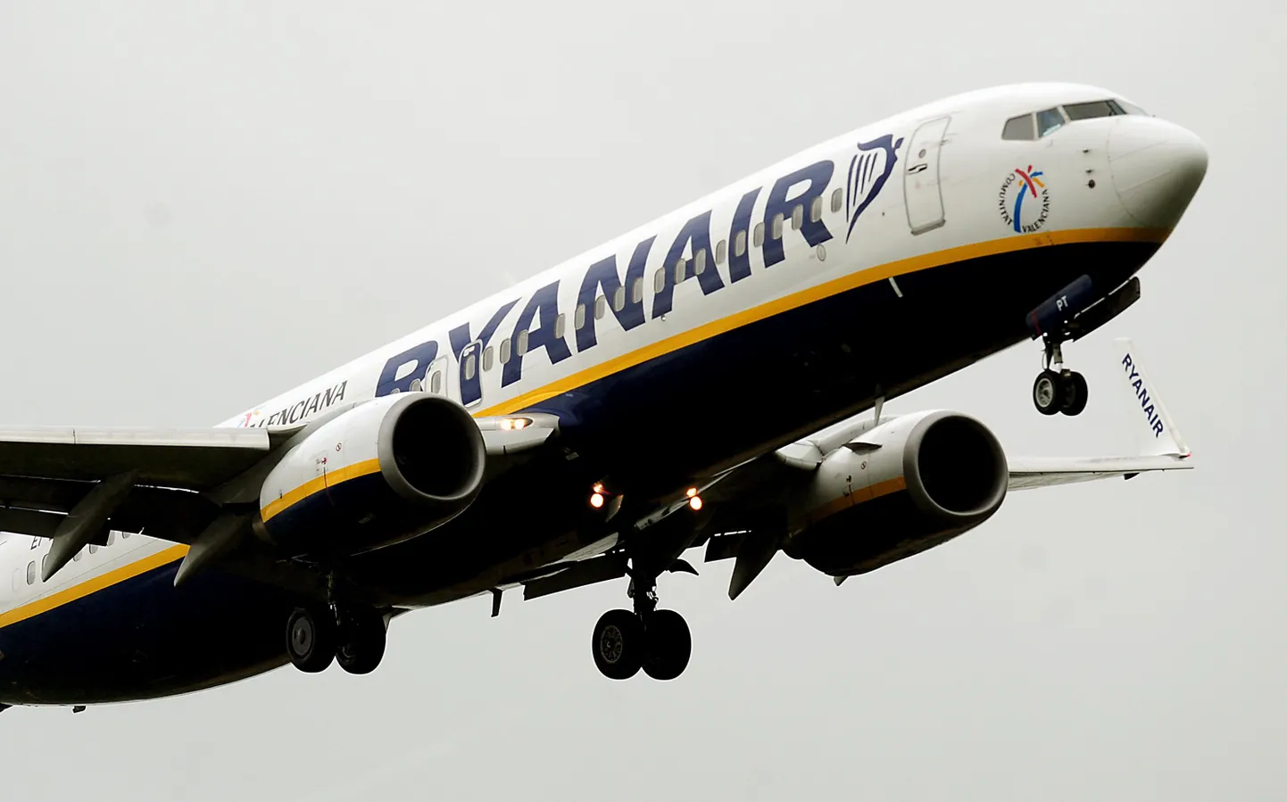 Ryanairi pressiesindaja sõnul on taoline ebaviisakas käitumine lennukis lubamatu ning antud olukorras tuleb prioriteediks seada teiste reisjate turvalisus.